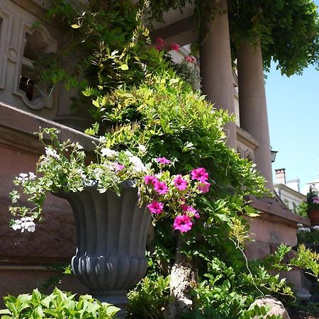Castelnau Hotel Colmar Bagian luar foto