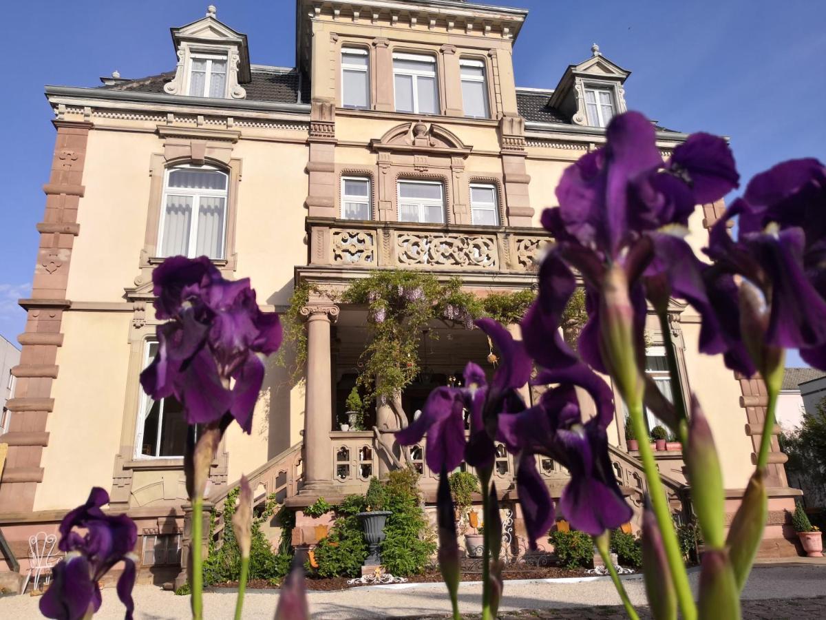 Castelnau Hotel Colmar Bagian luar foto