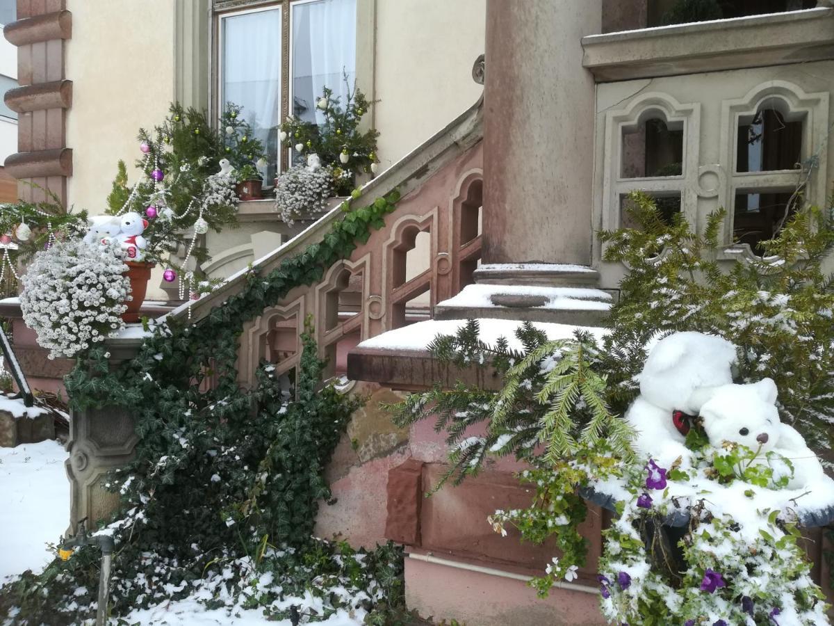 Castelnau Hotel Colmar Bagian luar foto